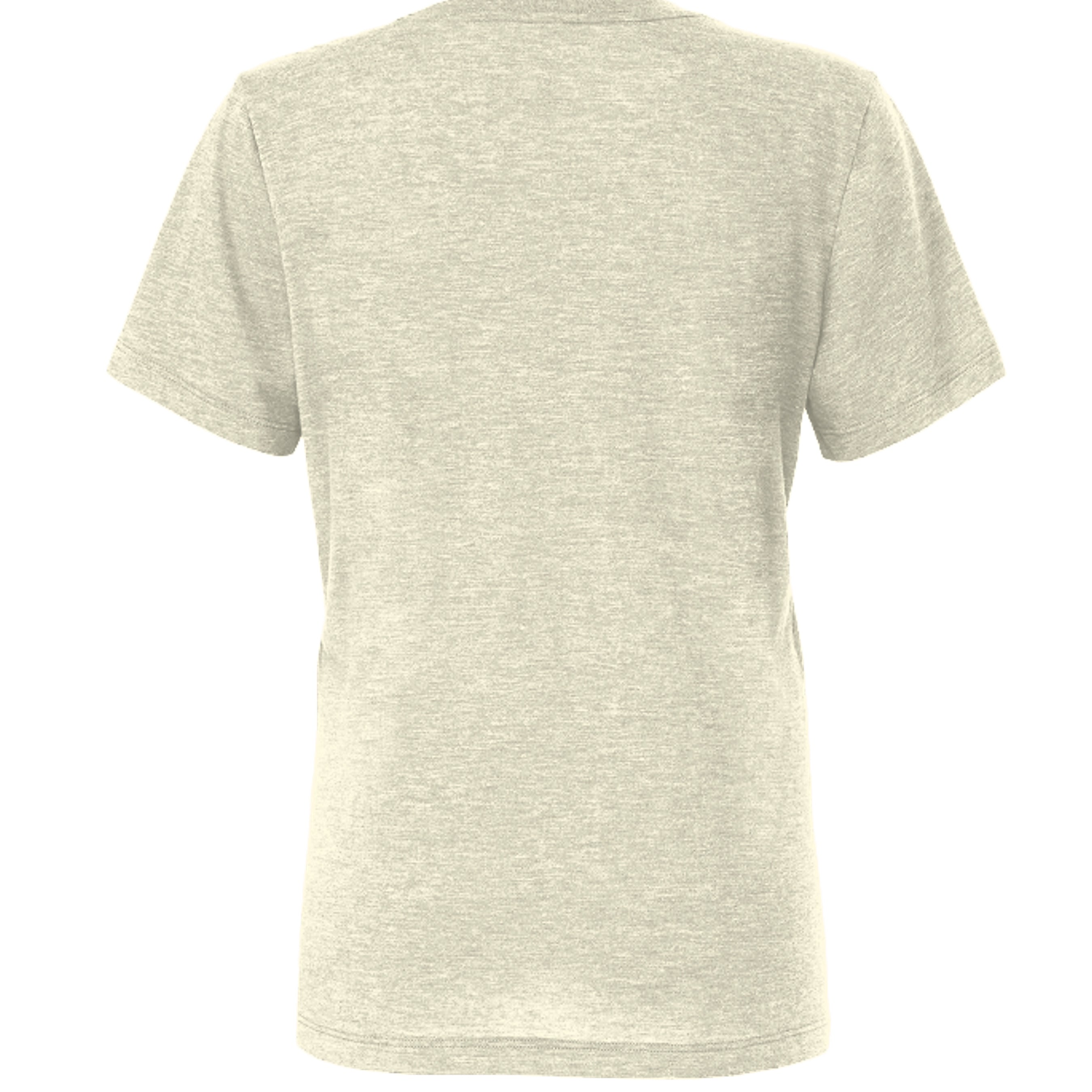 OATMEAL TRIBLEND - 6413 - BACK